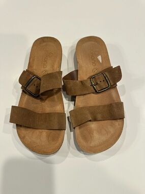 Brown Suede Double Strap Slide Sandals with Buckle